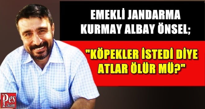 KÖPEKLER İSTEDİ DİYE ATLAR ÖLÜR MÜ?