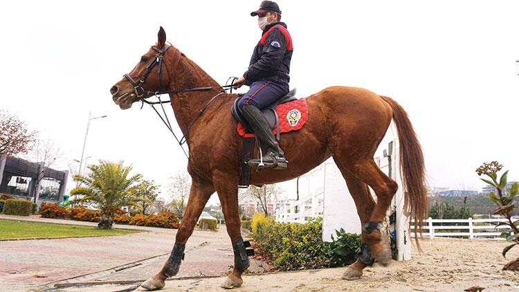 Endamları yetiyor… Onlar varken fazla söze gerek yok