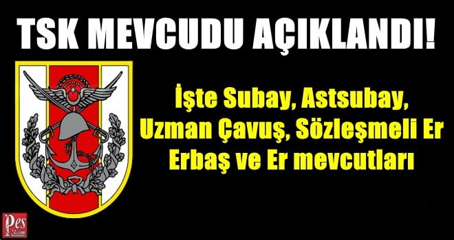 TSK PERSONEL MEVCUDU AÇIKLANDI!