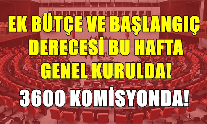 EK BÜTÇE VE BAŞLANGIÇ DERECESİ BU HAFTA GENEL KURULDA!