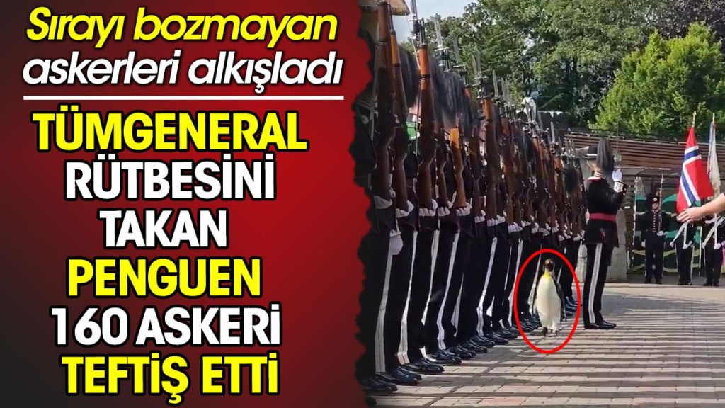 Tümgeneral rütbesini takan penguen 160 askeri teftiş etti. Sırayı bozmayan askerleri alkışladı