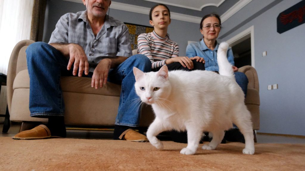emekli astsubayın sokaktan sahiplendikleri kediler hayatlarını değiştirdi