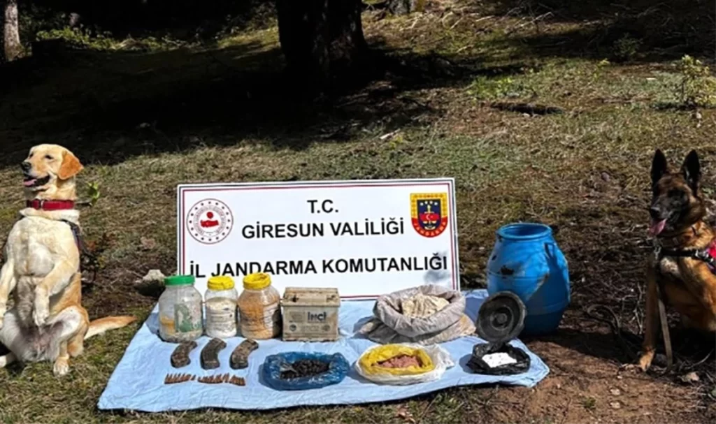 Giresun’da Terör Örgütüne Ait Mühimmat ve Malzemeler Ele Geçirildi