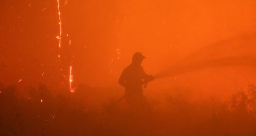 Türkiye alev alev… İzmir, Aydın, Bolu, Muğla ve Manisa’da orman yangınları