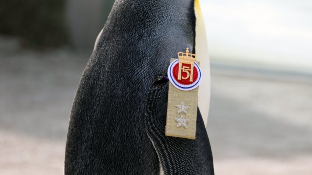 Guinness’ten dünyanın ‘en yüksek rütbeli pengueni Olav’a kutlama