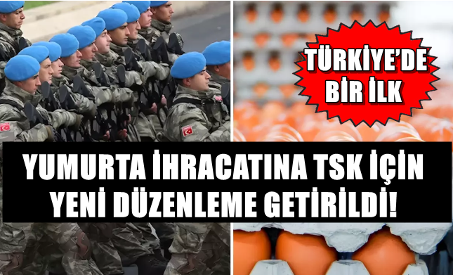 YUMURTA İHRACATINA TSK İÇİN YENİ DÜZENLEME GETİRİLDİ! TÜRKİYE’DE BİR İLK
