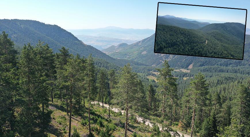 VALİLİK DUYURDU! ORMANLARA GİRİŞ YASAKLANDI