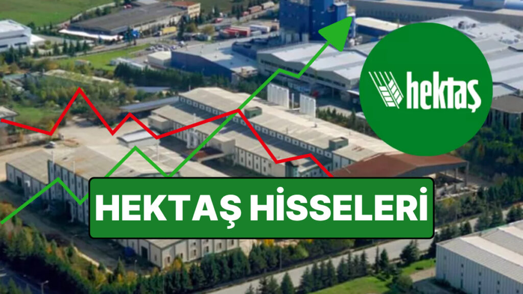 HEKTAŞ KİMİN, NE ZAMAN KURULDU VE ORTAKLARI KİMLER? HEKTAŞ HİSSE SENEDİ FİYATI VE AYRINTILARI