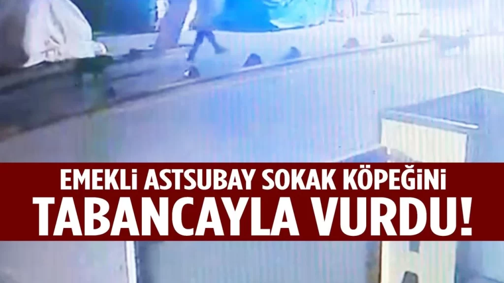EMEKLİ ASTSUBAY SOKAK KÖPEĞİNİ TABANCAYLA VURDU! İŞTE  O ANLAR…