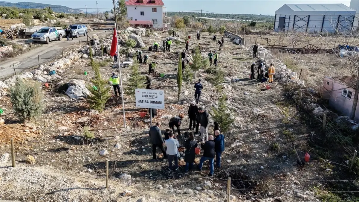 ŞEHİT JANDARMA ASTSUBAYIMIZ İÇİN  OLUŞTURULAN HATIRA ORMANINA YENİ FİDANLAR DİKİLDİ