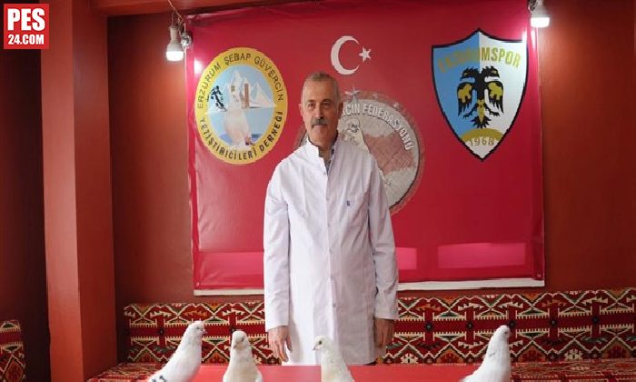 Emekli astsubay güvercinler için 3+1 ev kiraladı: ‘Kuşlarıma fiyat biçemiyorum’